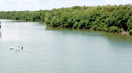 Research, Monitoring, and Community Engagement in Manatee Conservation and their habitats in Belize