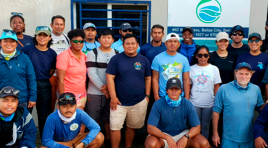 Monitoring and Protecting Fish Spawning Aggregations at Turneffe Atoll, Belize