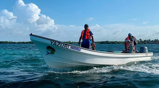 Vigilantes comunitarios protegen Zonas de Refugio Pesquero del Caribe mexicano