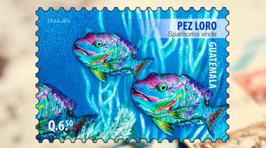 Postal Stamp for 10 Anniversary