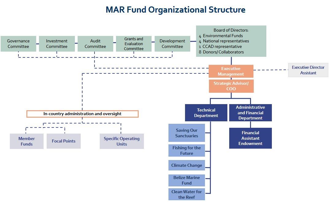 Organizational Structure Mar Fund Protecting The Mesoamerican Reef