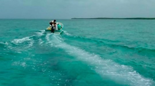 Fortalecen estrategias y operaciones de vigilancia en los arrecifes de Cozumel