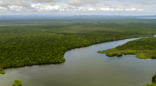 Strengthening the conservation of coastal marine protected areas in the MAR: MAR Fund announces the launch of the second Phase III call for proposals and the selected proposals from the first call