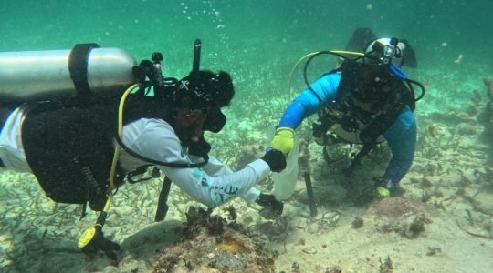 Stronger Together: Reef Response Training Builds Regional Capacity in Belize