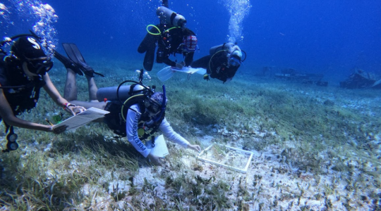 Nine Selected Projects Will Drive Local Solutions for Conservation in the MAR