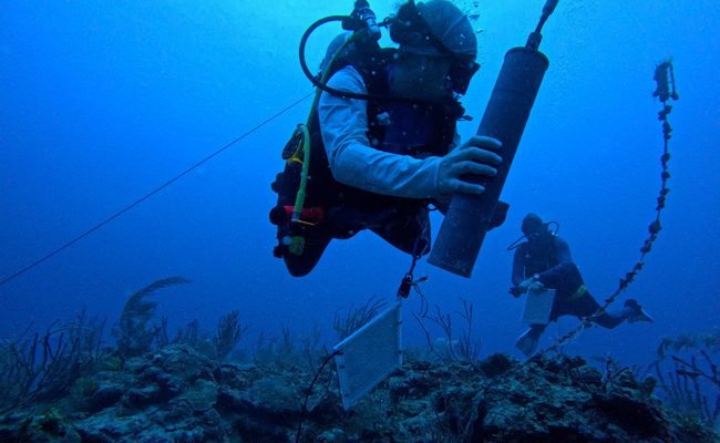 Hn-Capacitacion-uso-de-hidrofonos-por-Omar-Rivera-de-COBI-650