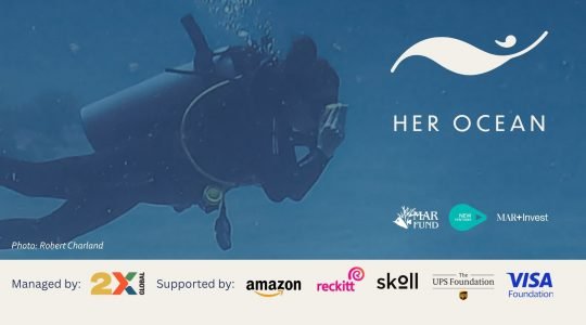 Join Her Ocean Accelerator 2026–2027!
