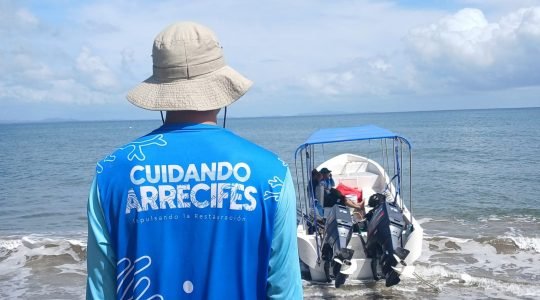 Seagrass Survey Provides Key Information for the Conservation of Coastal Ecosystems in Tela Bay