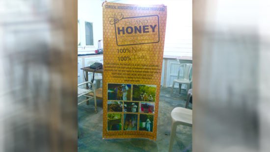 honey-production-corozal-03