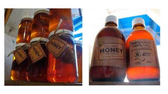 honey-production-corozal-04