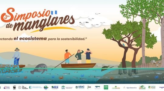 Ciencia, comunidad y colaboración en el III Simposio Nacional de Manglares
