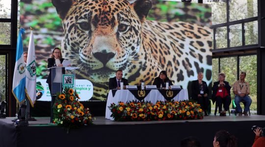 Guatemala Megadiversa: Un espacio para alianzas en favor de la conservación