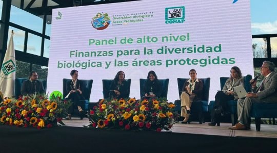 Finanzas para la biodiversidad: una conversación necesaria para asegurar el futuro de las áreas protegidas