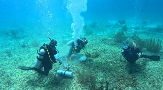 Fortalecen capacidades locales para la respuesta postormenta en el Parque Nacional Arrecifes de Cozumel