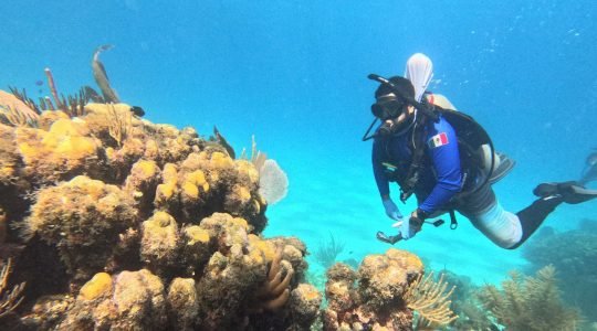 Cuando el arrecife llama: guardianes bajo el agua