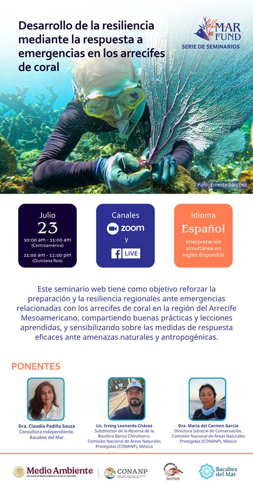 poster-spanish-webinar46